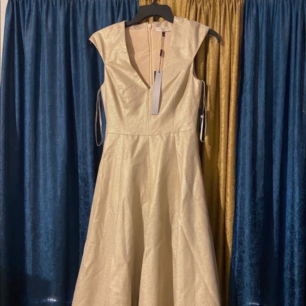 Halston Heritage Formal dress